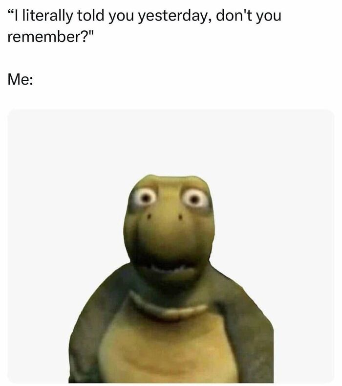 Funny meme with a confused turtle reacting to being reminded something previously said, humorously capturing mental breakdown moments.