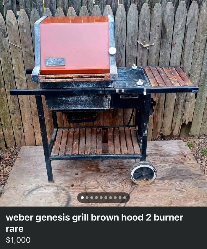 Used Weber Genesis grill with brown hood and two burners for sale on Facebook Marketplace among wildest things found.
