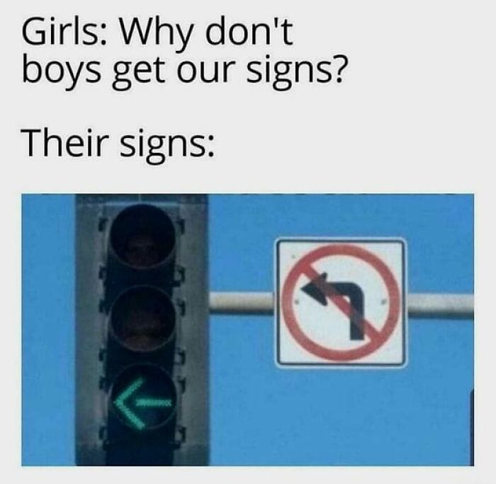 Traffic light showing green left arrow conflicting with no left turn sign, highlighting sarcasm in signs confusion meme.