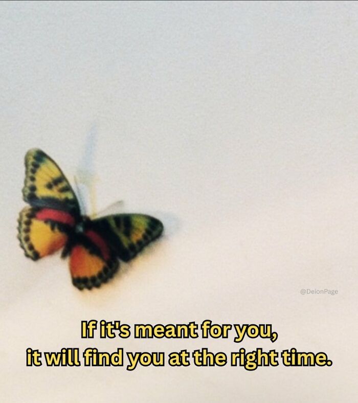 Colorful butterfly resting on a light surface with a wholesome inspirational quote about timing and fate.