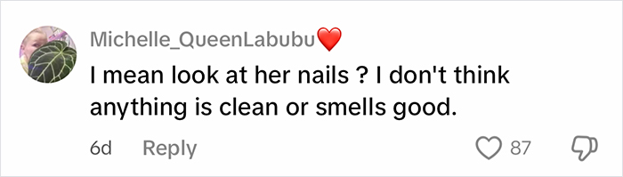 Social media comment criticizing a woman cleaning out a filthy car, questioning cleanliness and smell.