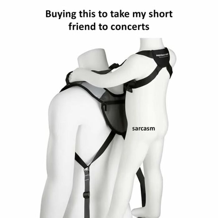 Funny meme showing a person carrying a smaller friend with a harness labeled sarcasm, for hilarious Facebook memes.