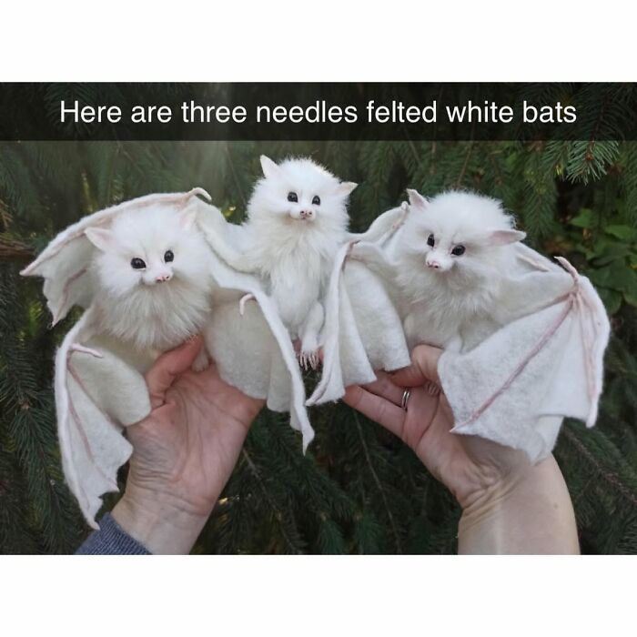Three handmade felted white bats held in hands, showcasing funny and silly animal memes to keep spirits up.