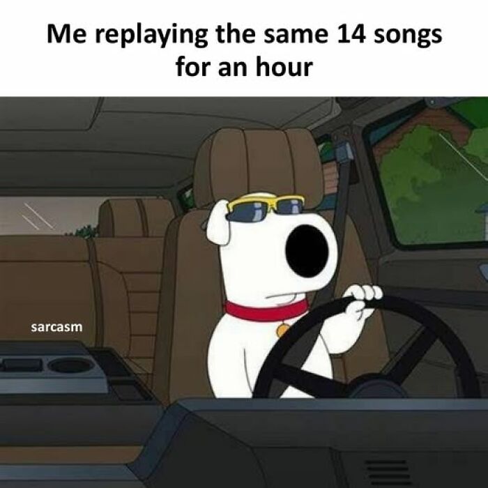 Cartoon dog wearing sunglasses driving a car, captioned about replaying the same 14 songs for an hour, hilarious memes.