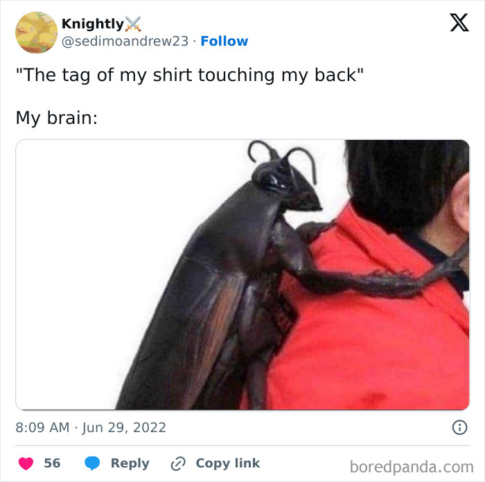 Tweet showing a large cockroach on a person's shoulder representing the human experience of an itchy shirt tag sensation.