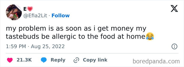 Tweet showing a relatable sarcastic meme about money and tastebuds being allergic to home food.