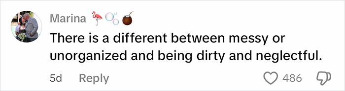 Comment from Marina discussing the difference between messy and neglectful in response to woman cleaning filthy car.