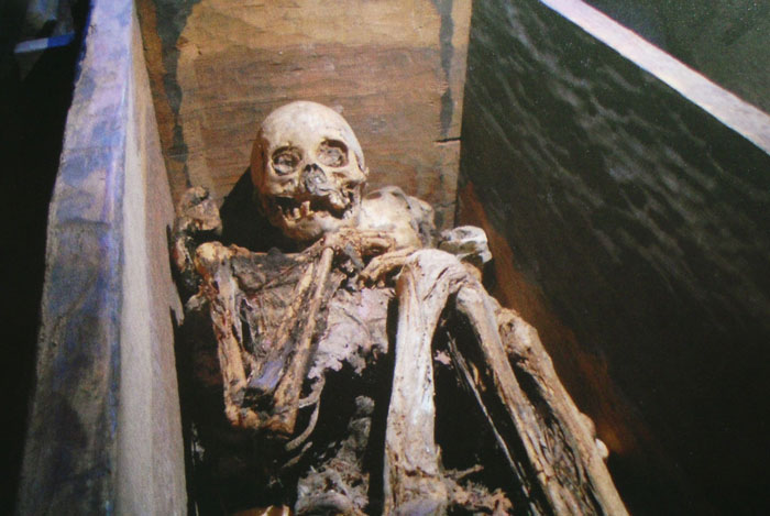 Restos esqueléticos en ataúd reviven hallazgos extraños de expertos en autopsias durante investigaciones forenses.