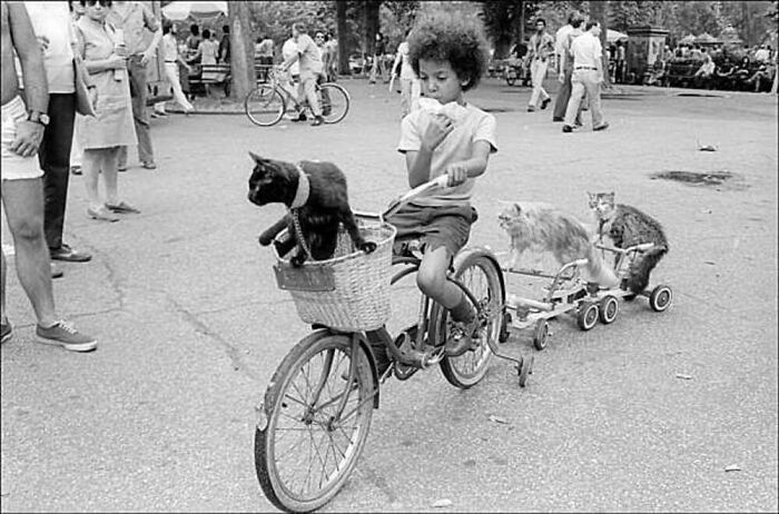 Child riding a vintage bicycle with cats in the basket and trailer, showcasing the timeless bond between kids and cats.