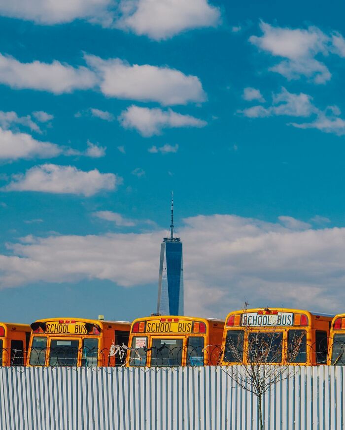 Yellow school buses parked behind a fence under a blue sky, showcasing creative photo edits that challenge visual reality.