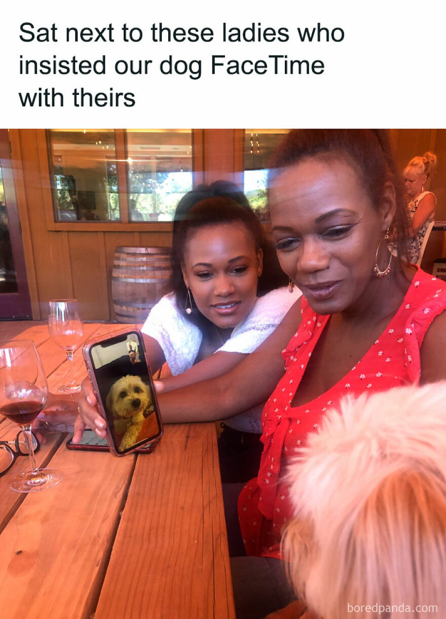 Two women at a table using FaceTime to show their dog to another dog, capturing a funny inconvenience moment.