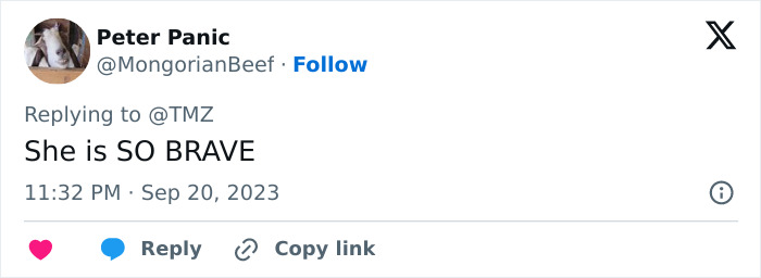 Tweet by user Peter Panic replying to TMZ, praising someone as brave, showing a profile picture of a goat in a circular frame. Tweet by user Peter Panic replying to TMZ, praising someone as brave, showing a profile picture of a goat in a circular frame.