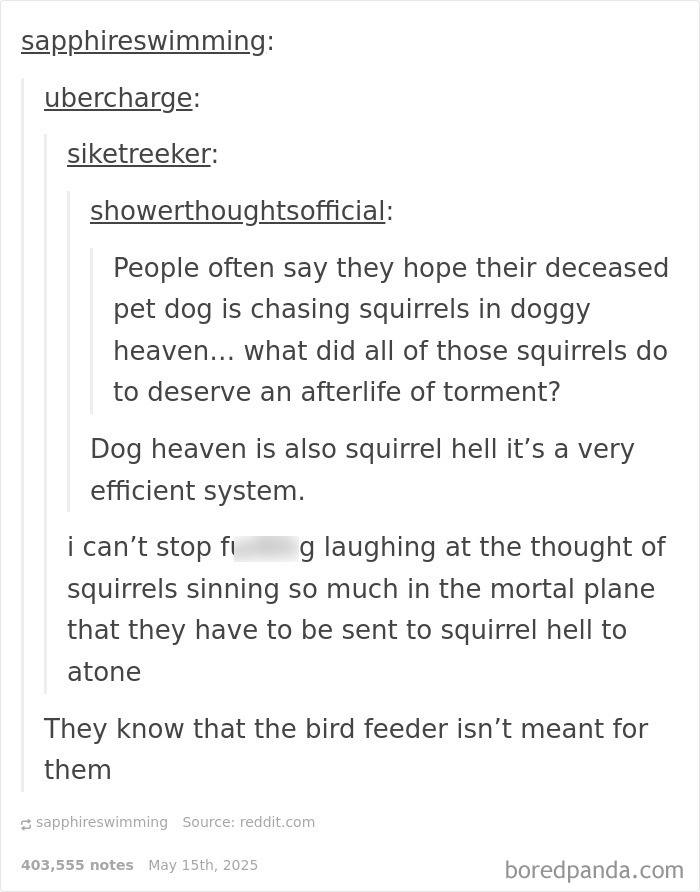 Screenshot of a funny online discussion about dog heaven and squirrel hell, a random meme that might make you laugh.
