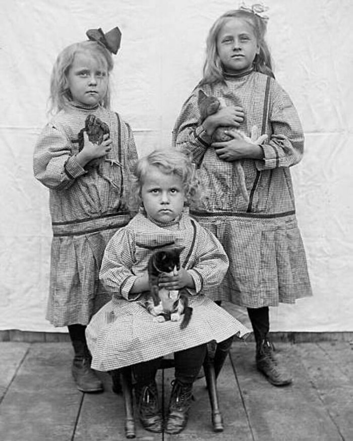 Three vintage kids in checkered dresses holding cats, showcasing the timeless bond between kids and cats in a classic photo.