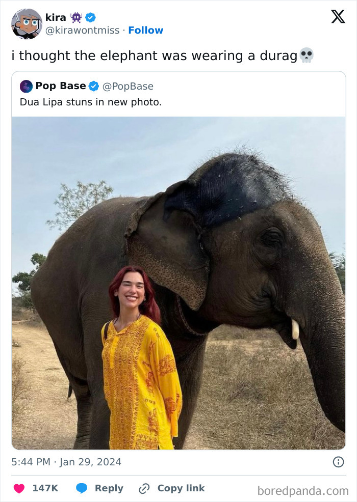 Dua Lipa standing next to an elephant creating an interesting double take illusion in a natural outdoor setting.