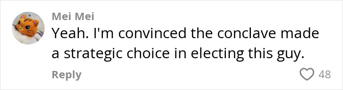 Comment by Mei Mei expressing conviction about the conclave's strategic choice in electing the Pope.