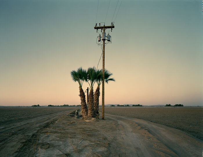 "Untitled" By Buck Holzemer (United States)