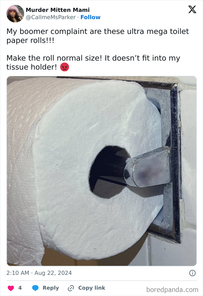 Boomeer complaint about ultra mega toilet paper roll size not fitting standard tissue holder in a bathroom setting.