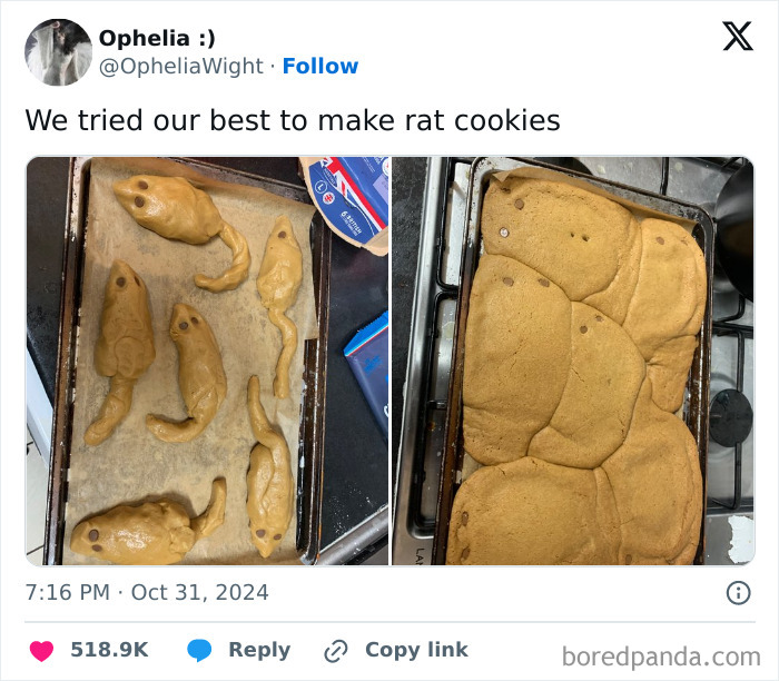 Baking fail showing misshapen rat cookies before and after baking, a funny cooking fail and accident example.