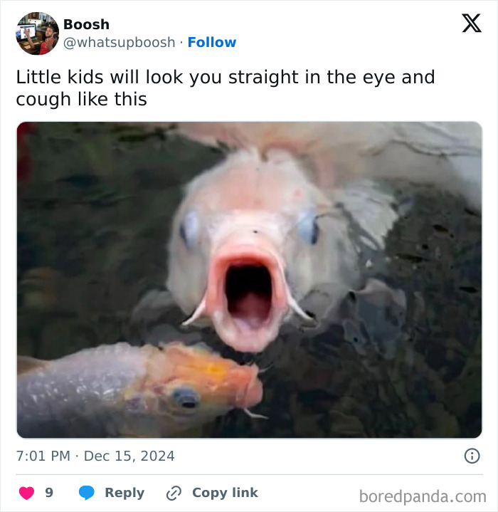 Funny meme showing a fish with its mouth wide open, humorously captioned about kids coughing and making you giggle.