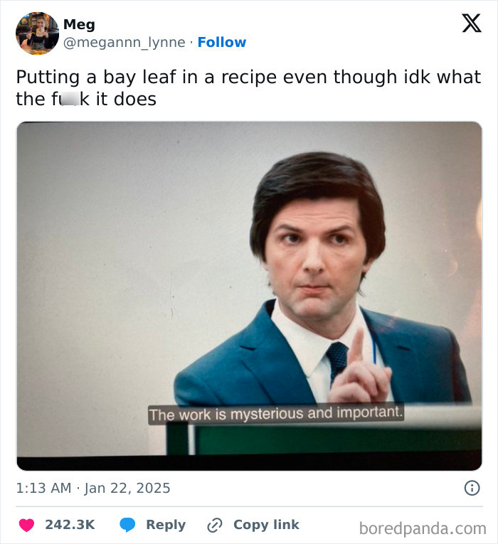 Man in a suit pointing finger with caption about mysterious work, funny relatable meme from Instagram account.