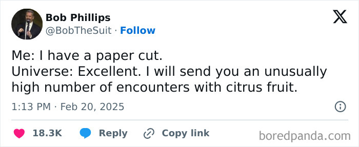 Tweet by Bob Phillips humorously describing the human experience of paper cuts leading to many encounters with citrus fruit.
