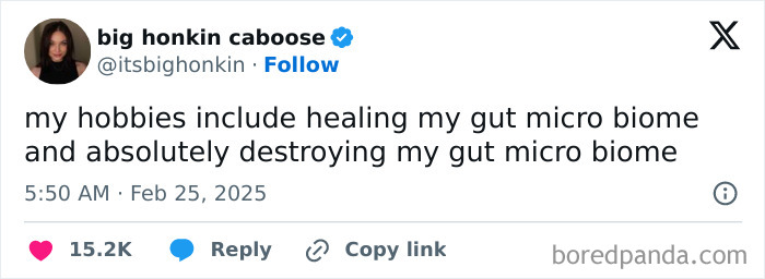 Tweet text humorously about healing and destroying gut micro biome, shown in a random meme related to laughter and memes.
