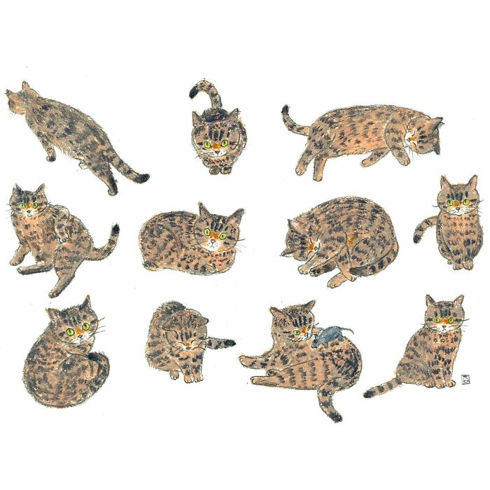 Illustrations of adorable cats in various poses, showcasing charming artwork for cat lovers by a Korean artist.