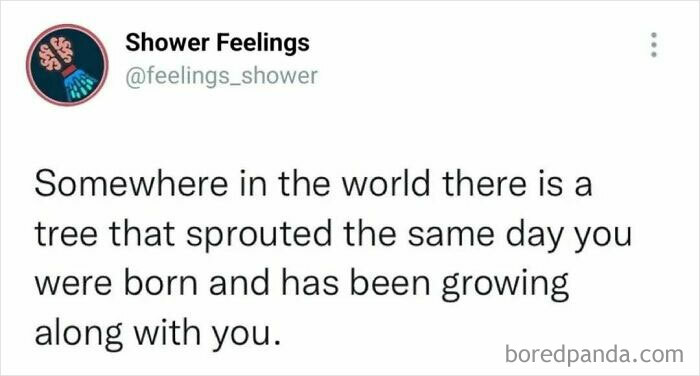 Screenshot of a Shower Feelings post sharing a thoughtful brain occupation idea for shower time reflection.