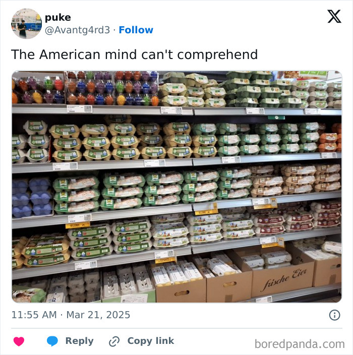 Grocery store shelf filled with various egg cartons showing diverse packaging styles confusing American shoppers.