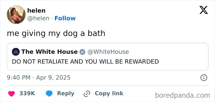 Tweet showing frustration with current political situation, including a sarcastic comment about giving a dog a bath and a White House quote.