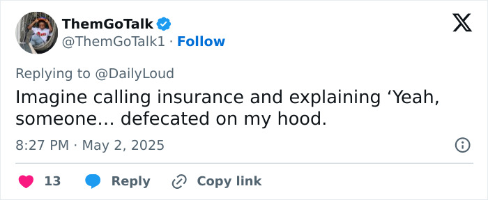 Tweet about road-raged woman defecating on car hood, causing outrage and viral internet attention.