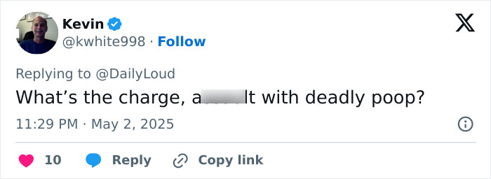 Screenshot of a tweet humorously questioning the charge against a road-raged woman involved in a poop incident.
