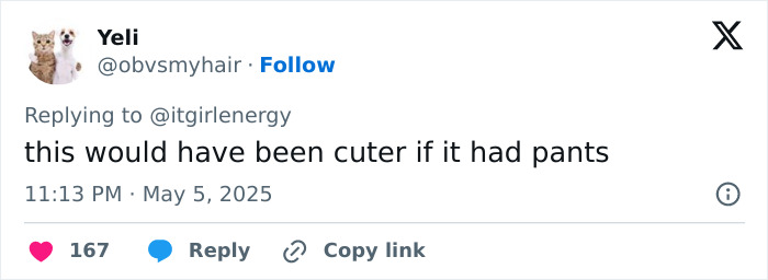 Tweet criticizing Sabrina Carpenter&rsquo;s pantless outfit at Met Gala 2025, reflecting backlash on her fashion choice.