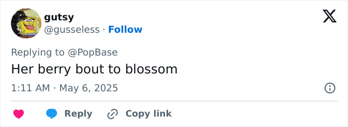 Halle Berry posing confidently in a sheer Met Gala dress, showcasing a daring underwear-free fashion statement.