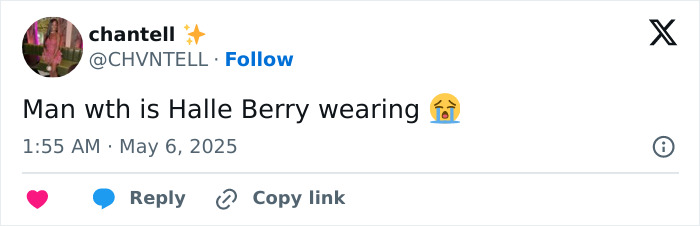 Tweet from user reacting to Halle Berry wearing a sheer, underwear-free dress at the Met Gala.