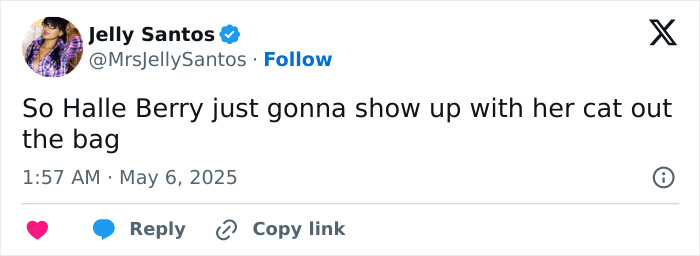 Halle Berry wearing a sheer Met Gala dress, going underwear-free and showcasing a daring fashion moment.