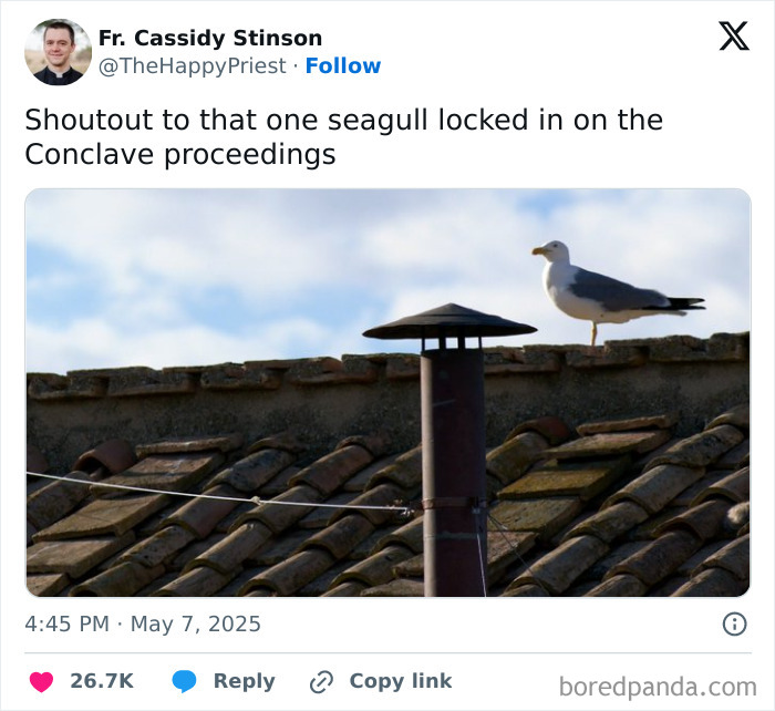 Seagull perched on a rooftop during the Conclave as memes about Simpsons artist drew him and first U.S. Pope circulate online