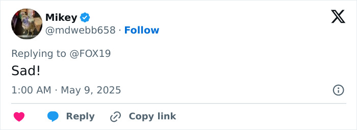Screenshot of a Twitter reply expressing sadness after judge announces fate of babysitter in fatal Benadryl dose case.