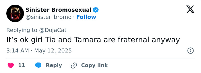 Twitter reply screenshot from user Sinister Bromosexual responding to Doja Cat, discussing sibling relationship. Twitter reply screenshot from user Sinister Bromosexual responding to Doja Cat, discussing sibling relationship.