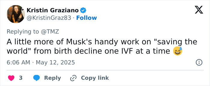 Tweet about Elon Musk's involvement in IVF and birth decline, referencing a controversial embryos dispute and twins speculation. Tweet about Elon Musk's involvement in IVF and birth decline, referencing a controversial embryos dispute and twins speculation.