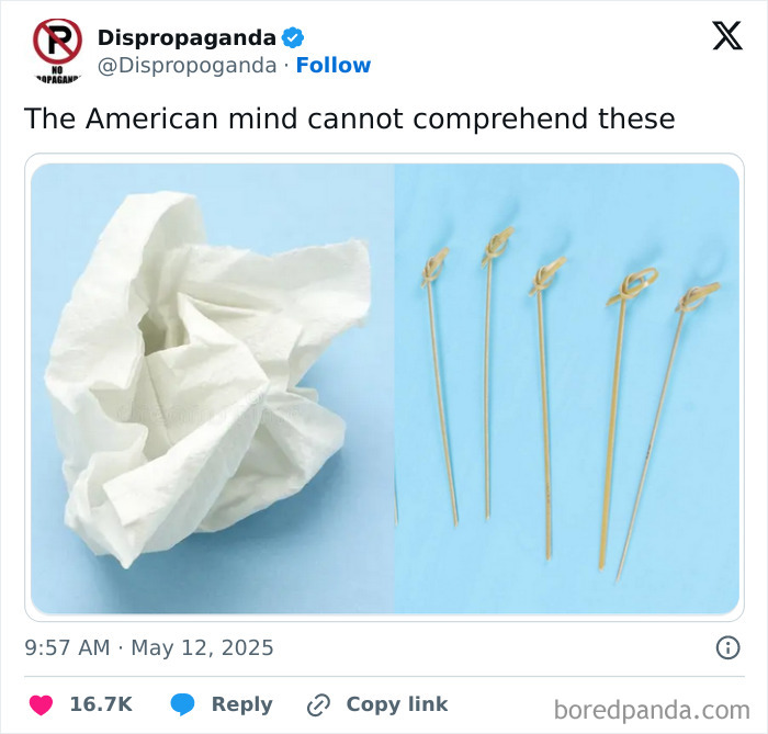 Crumpled tissue paper next to skewers with intricate knots, illustrating confusing objects for the American mind.