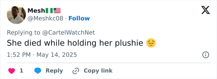 Tweet from user Mesh expressing sadness over a 23-year-old influencer fatally shot while live streaming to followers. Tweet from user Mesh expressing sadness over a 23-year-old influencer fatally shot while live streaming to followers.