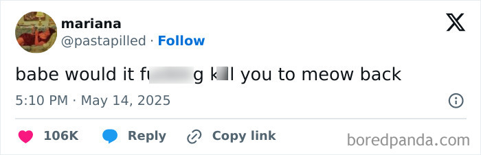 Tweet screenshot from May with humorous text asking someone to meow back, highlighting funny tweets from May.