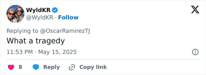 Tweet from user WyldKR expressing shock over beauty influencer shot while live streaming, with hitman ex as suspect.