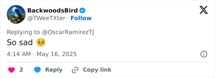 Tweet from BackwoodsBird expressing sadness about beauty influencer shot while live streaming, with hitman ex as suspect.