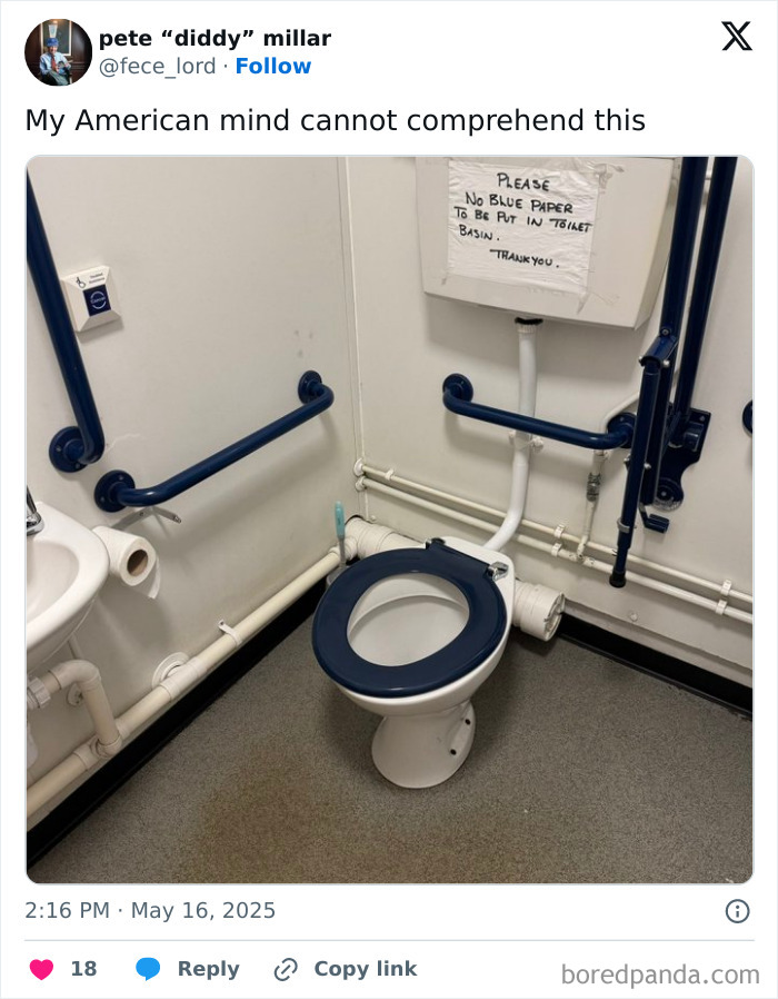 Public restroom toilet with blue seat and handrails, featuring a confusing no blue paper sign, baffling the American mind.