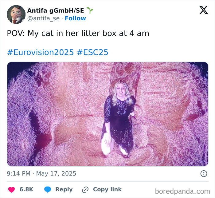 Woman kneeling inside a textured pink and purple area, humorously captioned as a cat in her litter box at 4 am Eurovision 2025 meme.