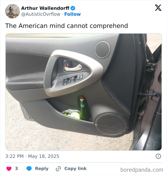 Car door panel with built-in bottle holder containing a green bottle, puzzling to the American mind in everyday life.