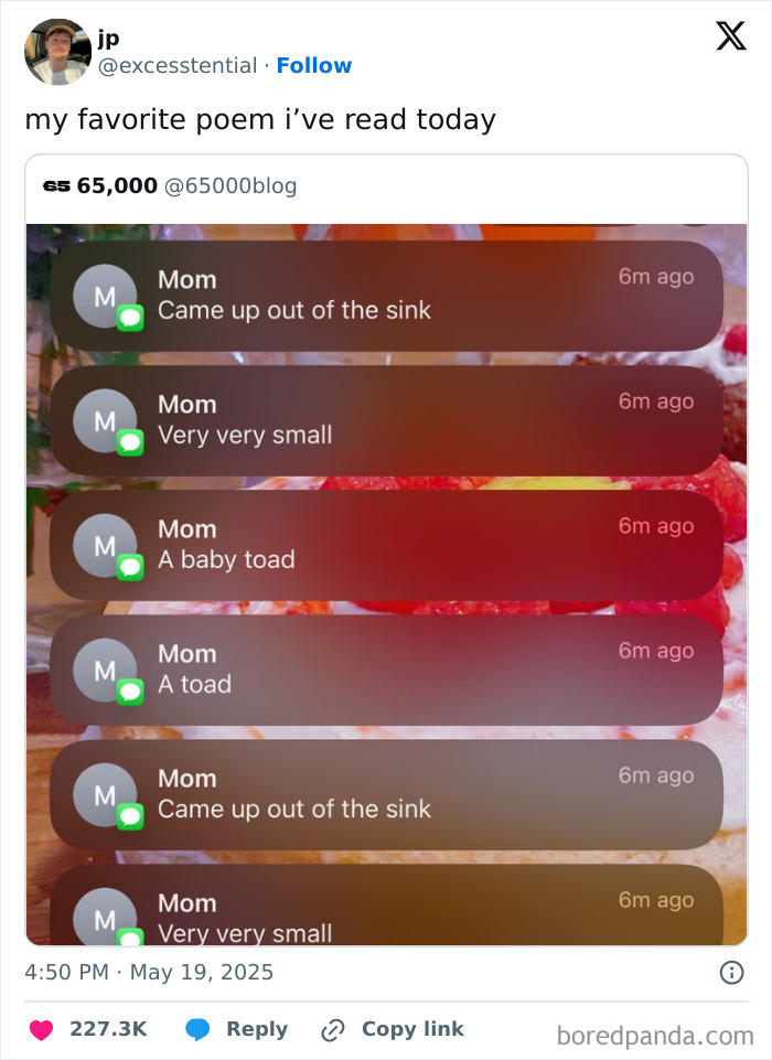 Text messages from a mom describing a baby toad coming out of the sink, illustrating British comedic posts.